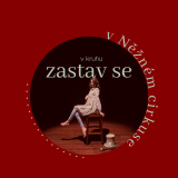 Zastavení (v kruhu)